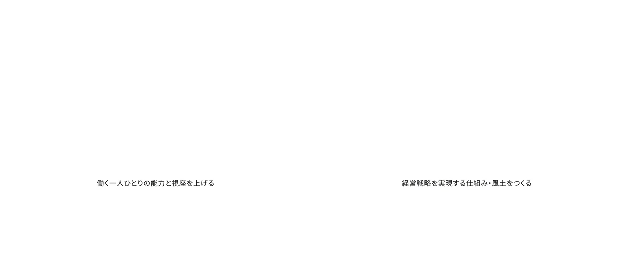 働く一人ひとりの能力と視座を高め、経営戦略を実現するための仕組みや風土を整え、人と組織の双方に相乗効果をもたらしながらビジョンの実現へと導くというヒューマンリンクのサービスの特徴を示す概念図です。